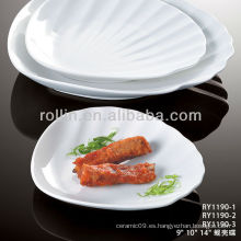 Plato de porcelana blanca fina saludable